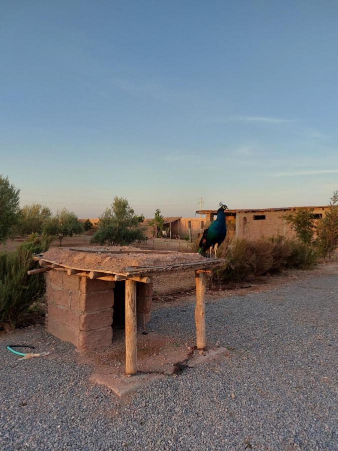 Villa Giulia&Soley Douar Sidi Ayad Esterno foto